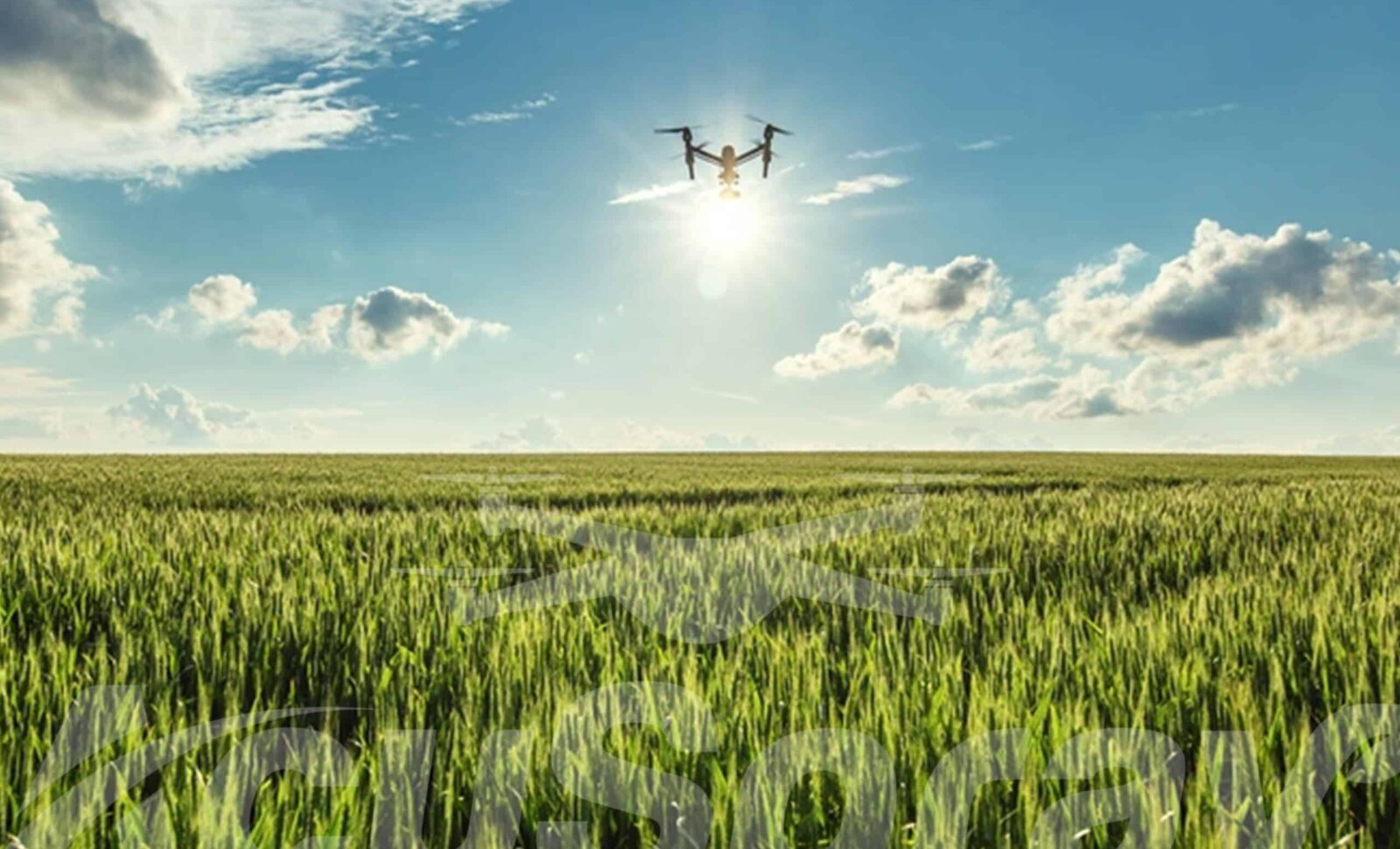 Environmental Stewardship in Agriculture Takes Flight with Drones