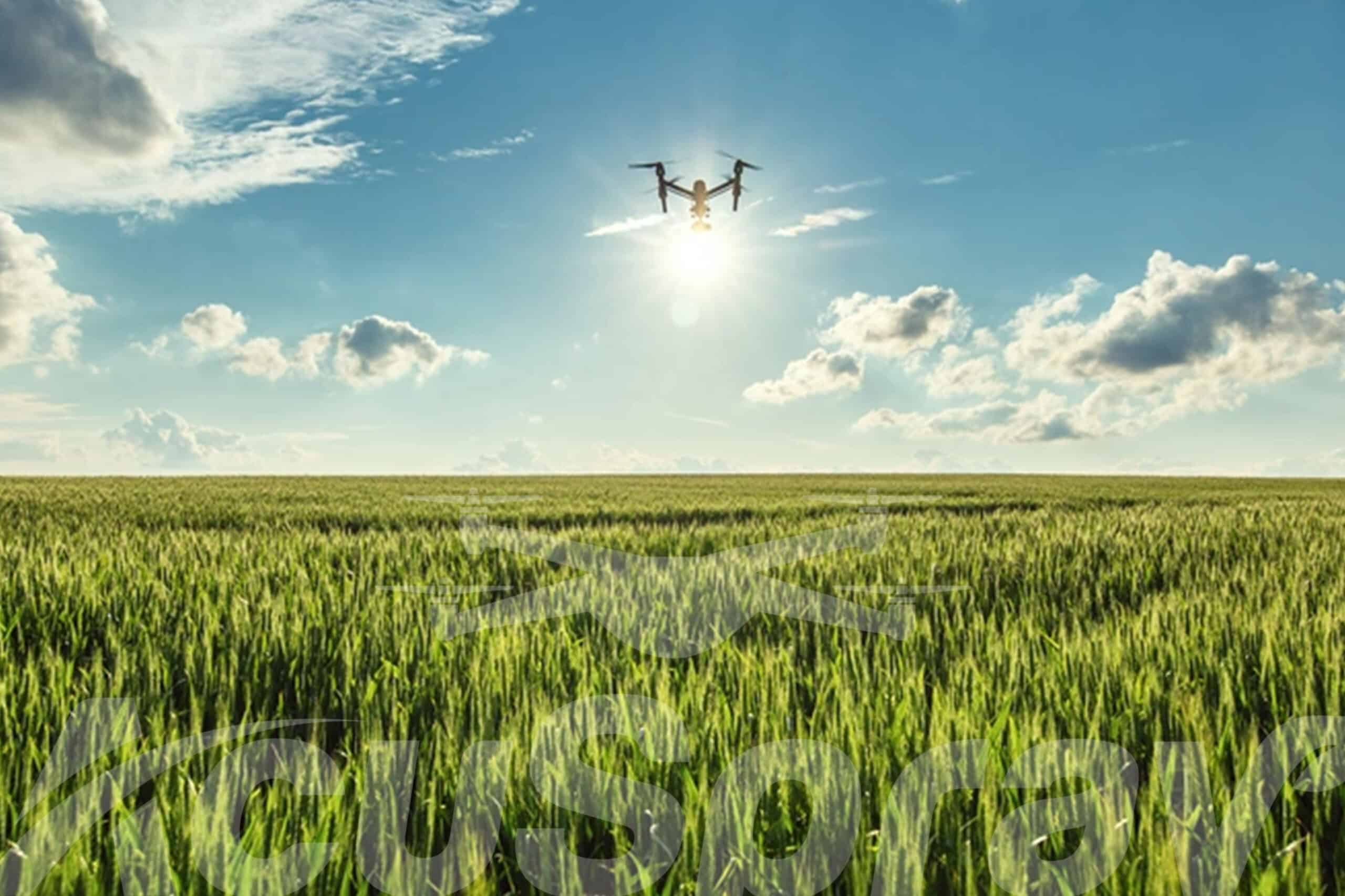 A drone equipped for precision agriculture flying over lush green crops on a sunny day, exemplifying environmental stewardship with drones.