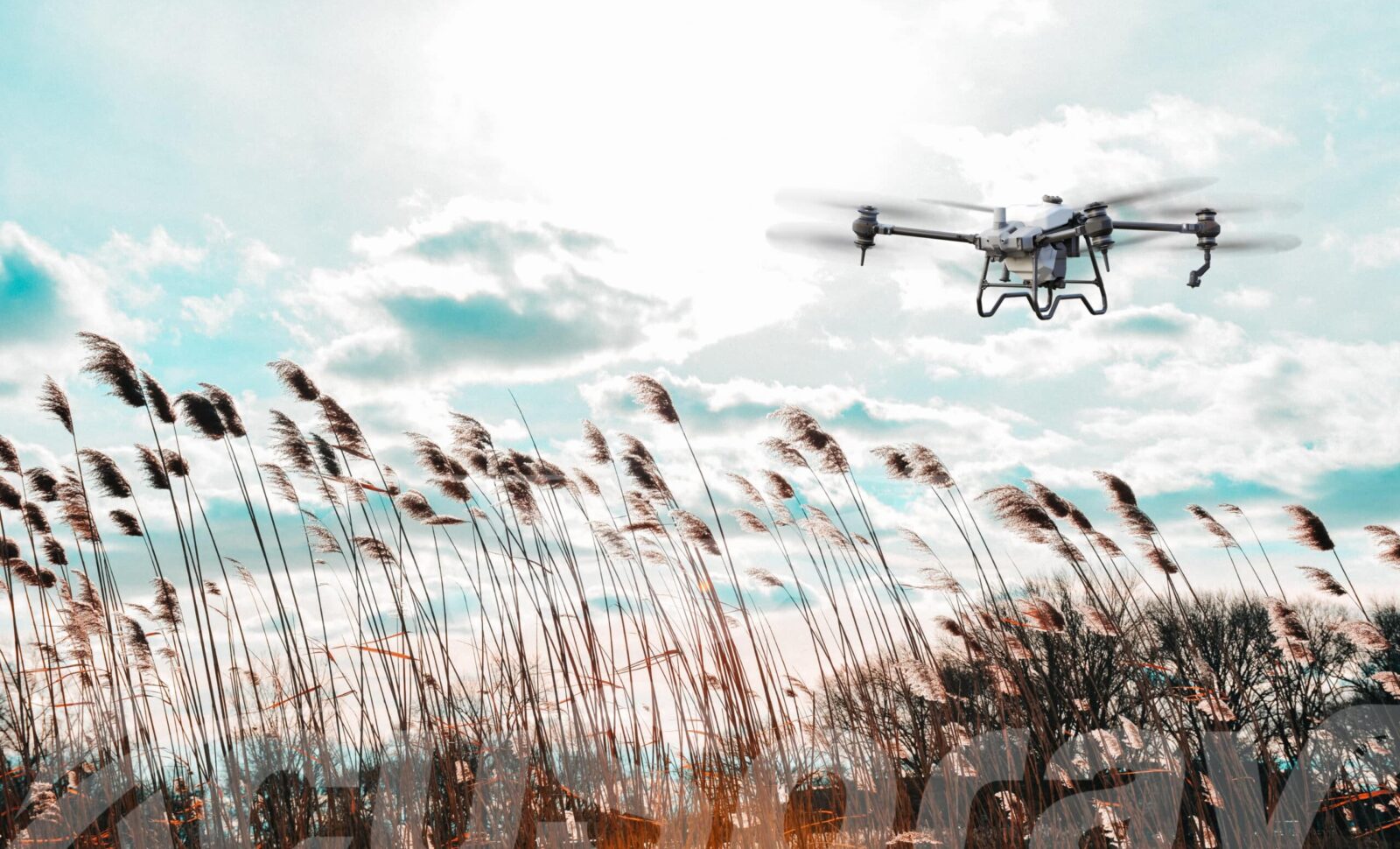 The Power of Drone Technology in Combating Invasive Species