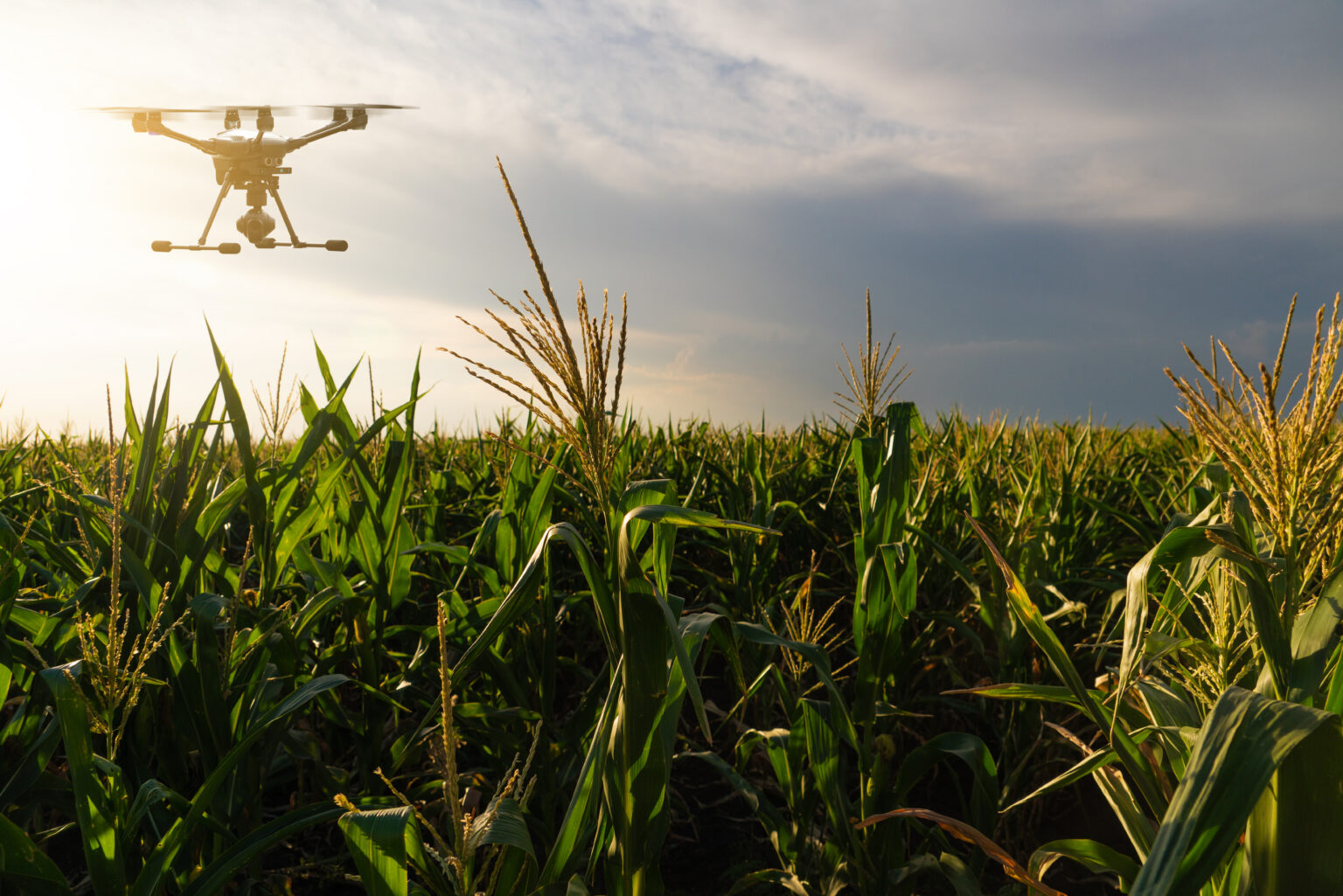 Agricultural Crop Management The Rise Of Drone Spray Applications And Their Advantages Over