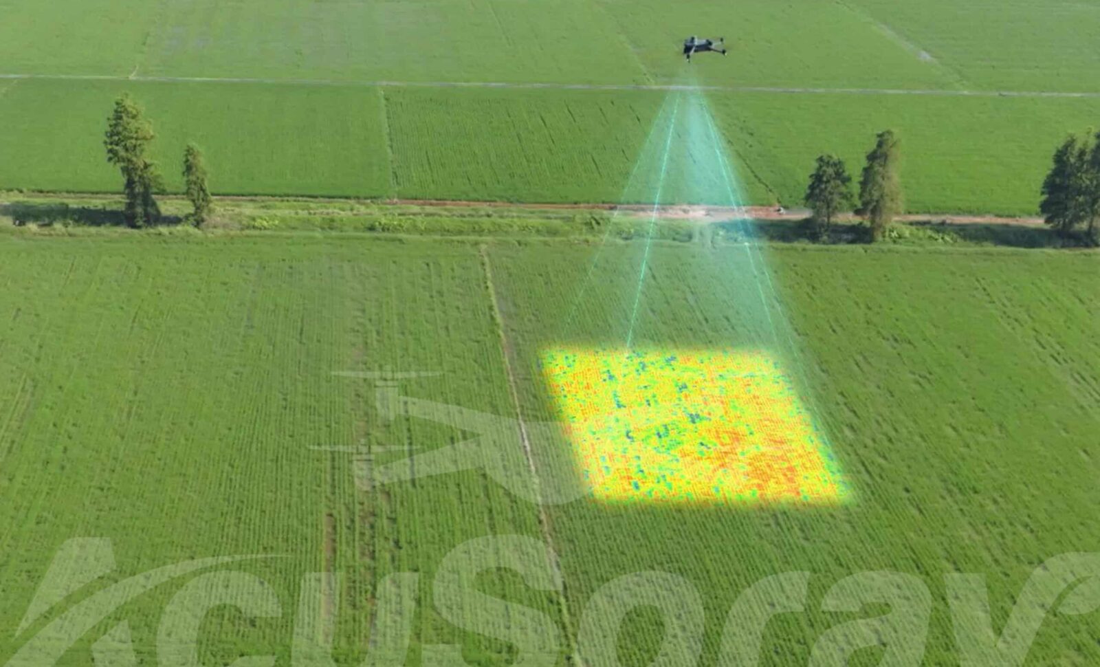 Harnessing Multispectral Imaging for High-Tech Farming