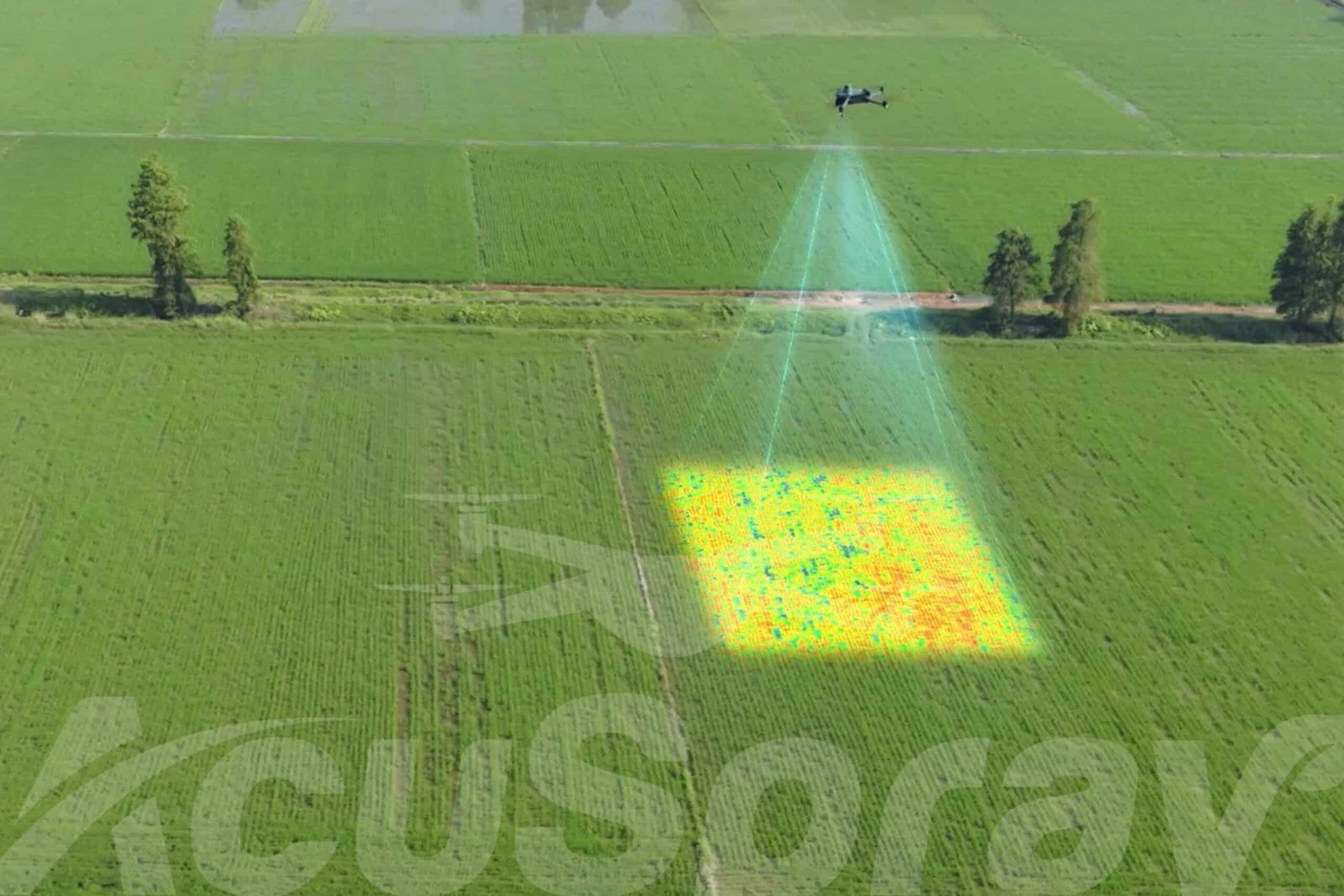 A drone equipped with multispectral imaging technology flying over an agricultural field, projecting a multicolored image that indicates varying crop health conditions.