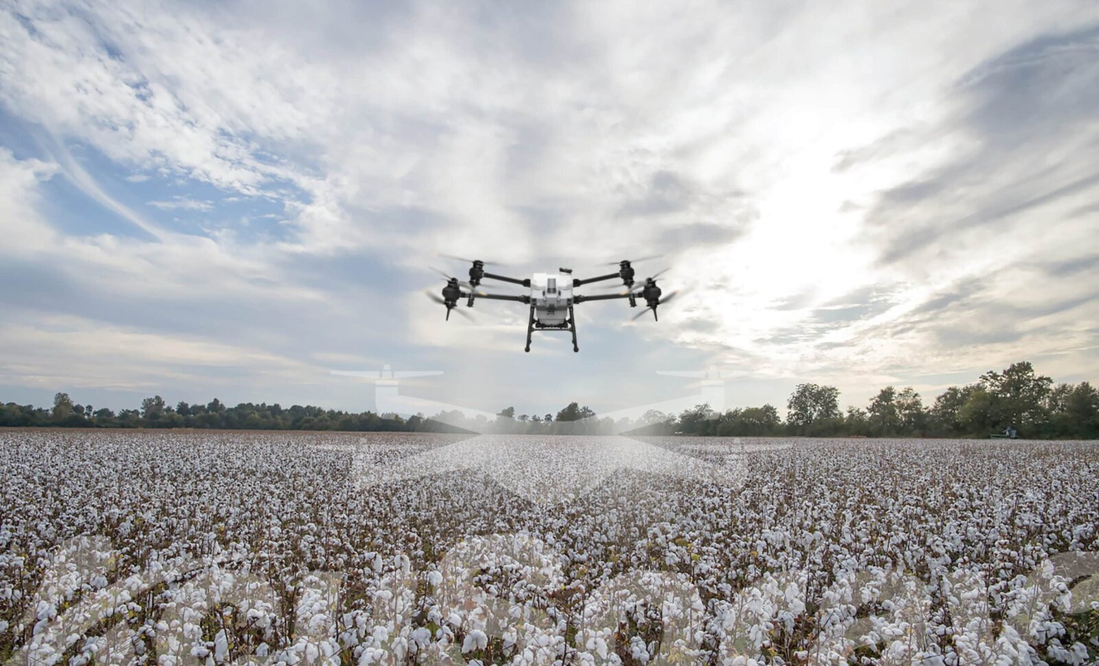 Cotton Farming Takes Flight with Spray Drones