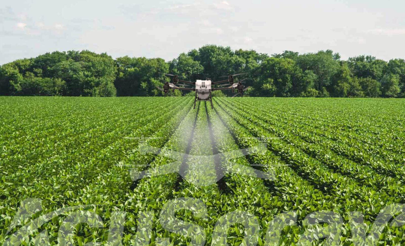 AcuSpray Responds to Soybean Farming Challenges in Latest USDA Report