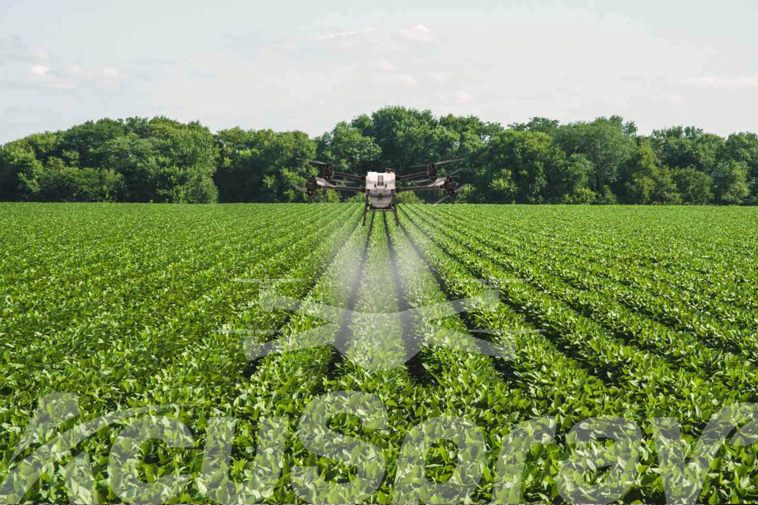 Spray drone hovering over lush soybean fields