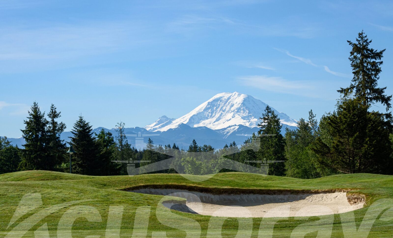 The Green Guide to Northwest Turf Management