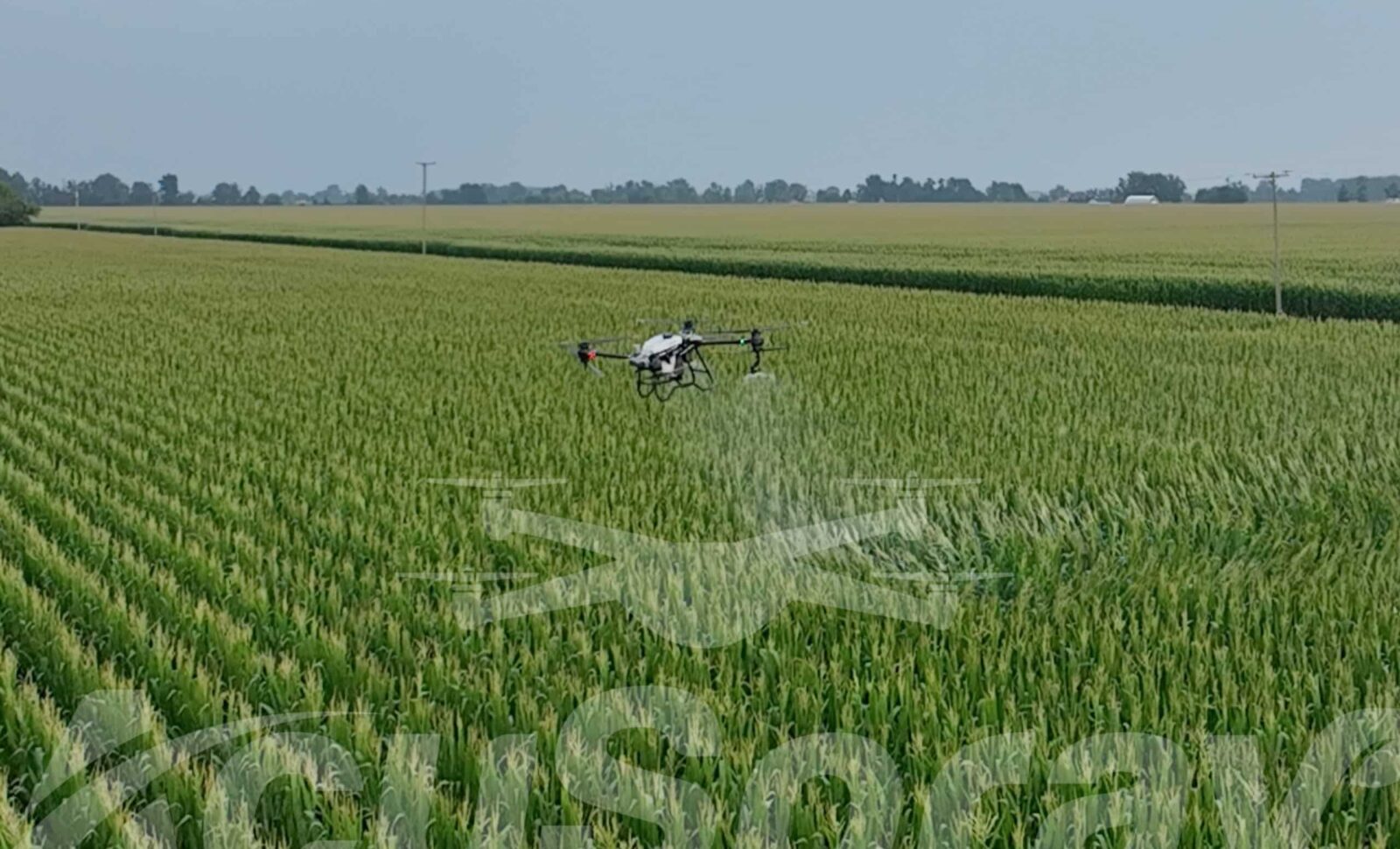 Spray Drone Takes Flight at the AgroExpo in St. Johns