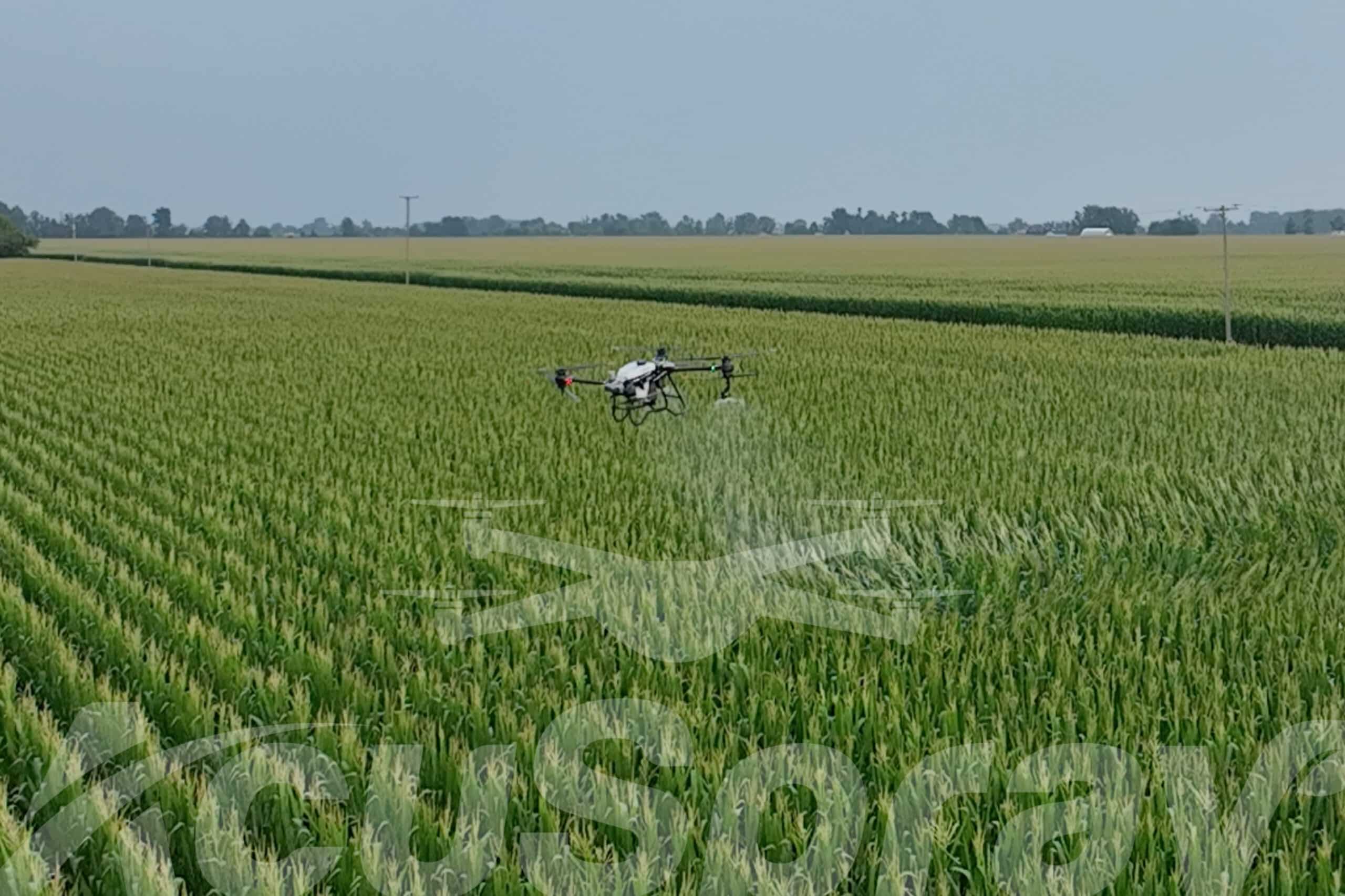 Spray drone applying treatment to a cornfield, similar to technologies showcased at AgroExpo St. Johns.