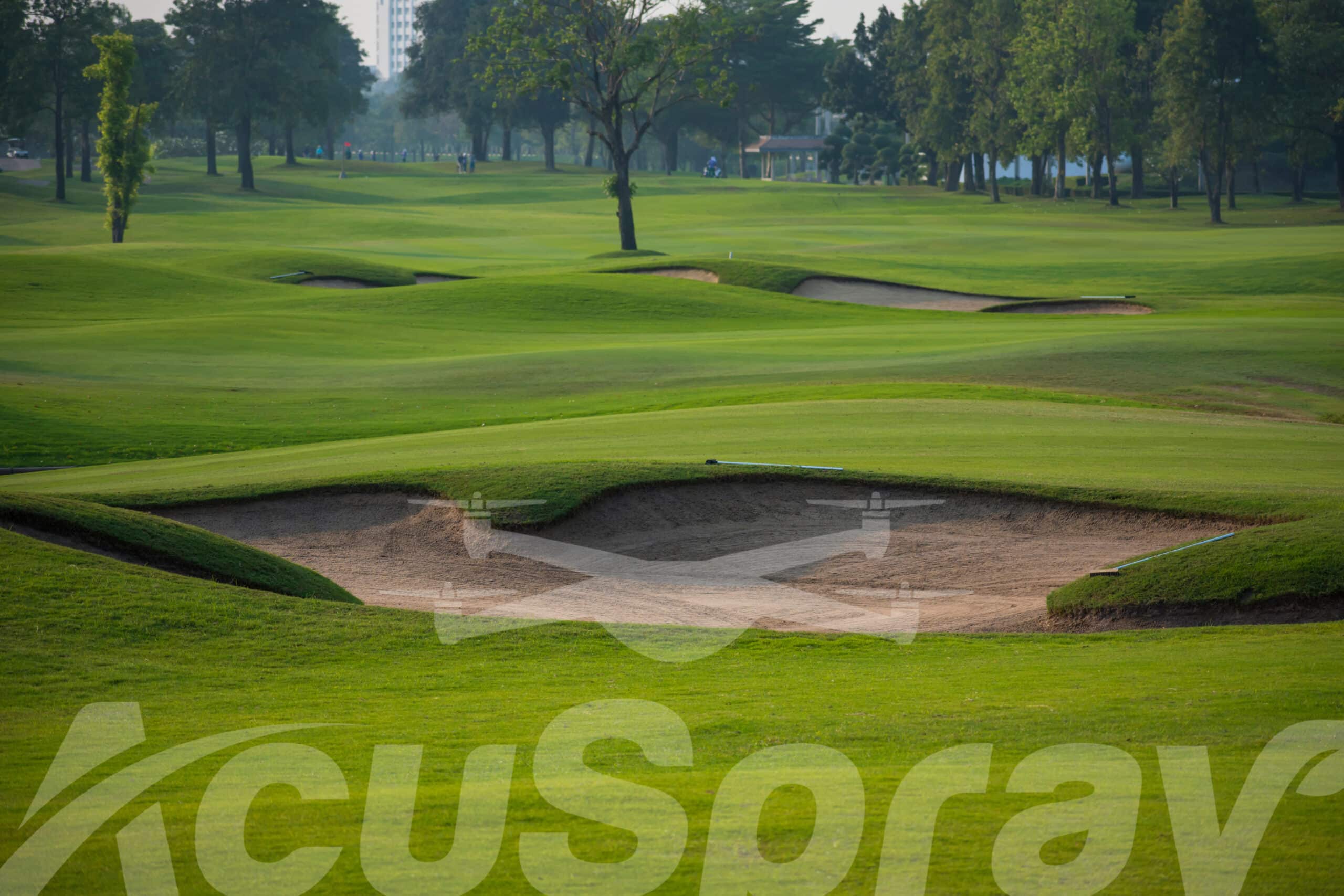 Bunkers and lush greenery of a Michigan golf course, a testament to effective management against turf diseases.