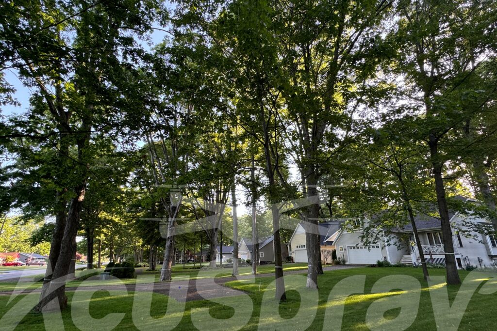 Combatting Gypsy Moth Infestation with Spray Drones AcuSpray